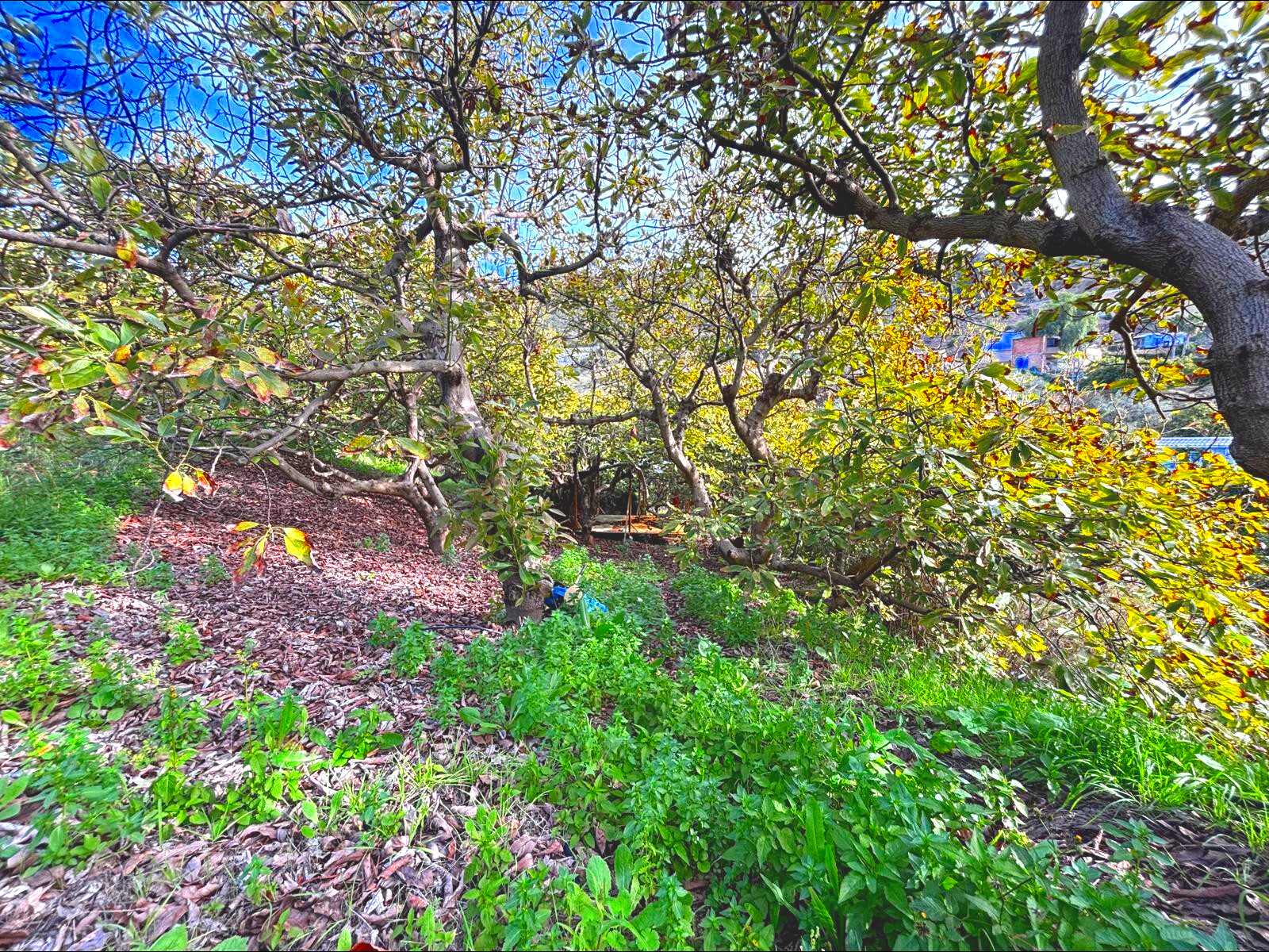 Fincas y solares-Venta-AlhaurÃ­n el Grande-1642748-Foto-16