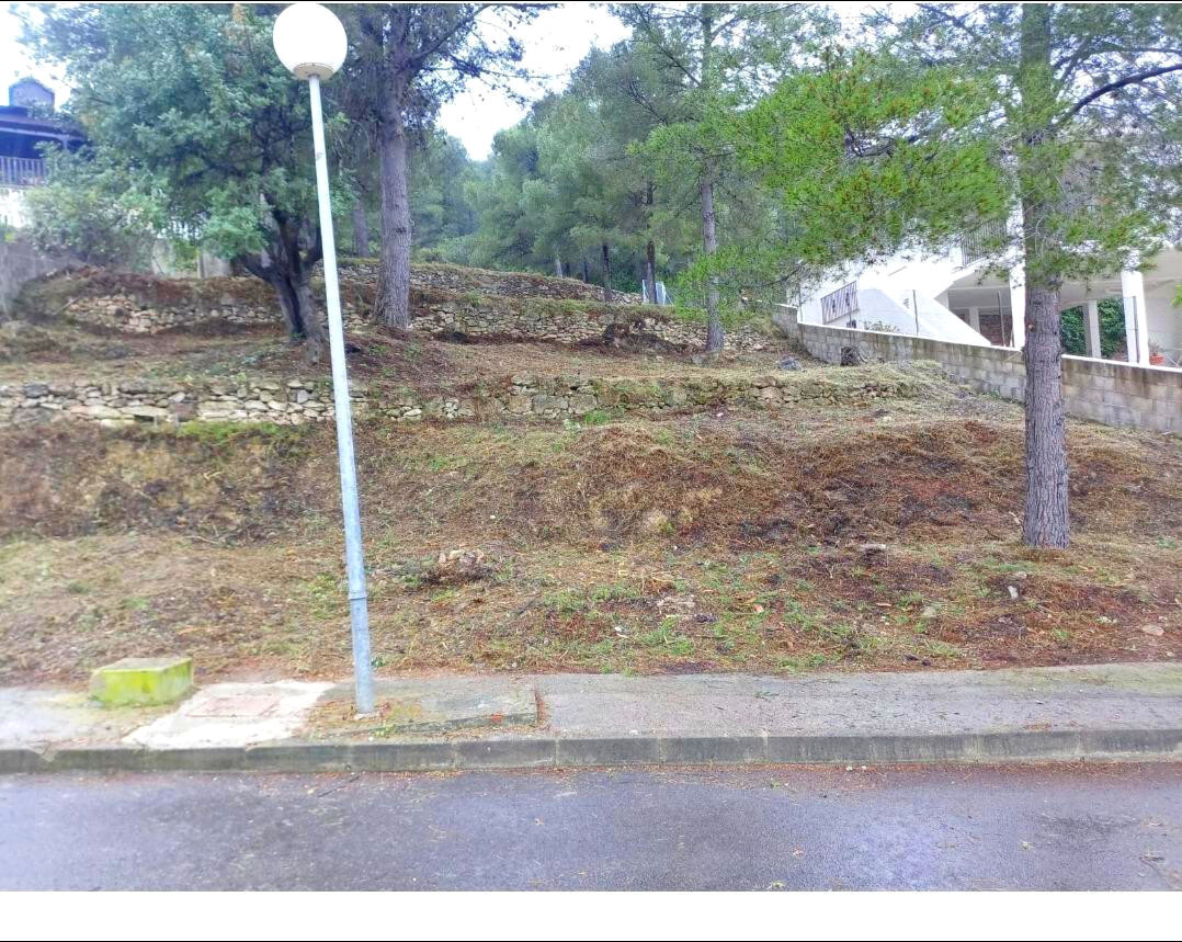 Fincas y solares-Venta-Algar de Palancia-1763870-Foto-3