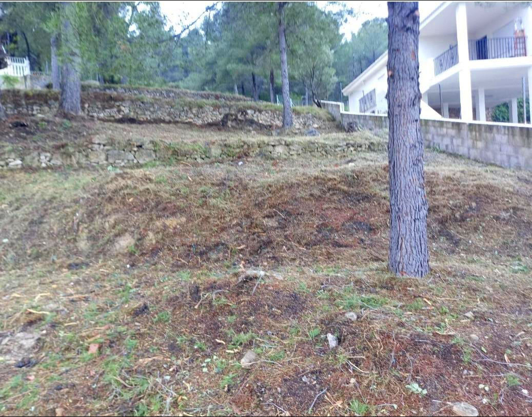 Fincas y solares-Venta-Algar de Palancia-1763870-Foto-4