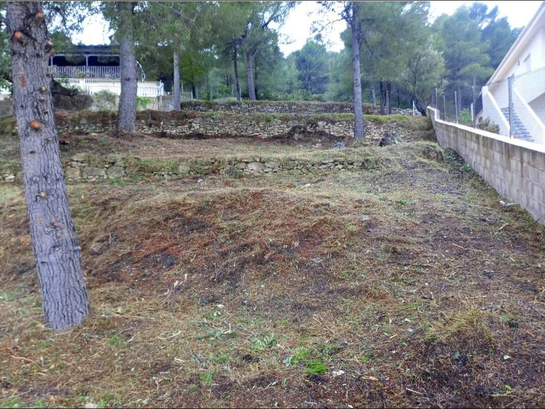 Fincas y solares-Venta-Algar de Palancia-1763870-Foto-2