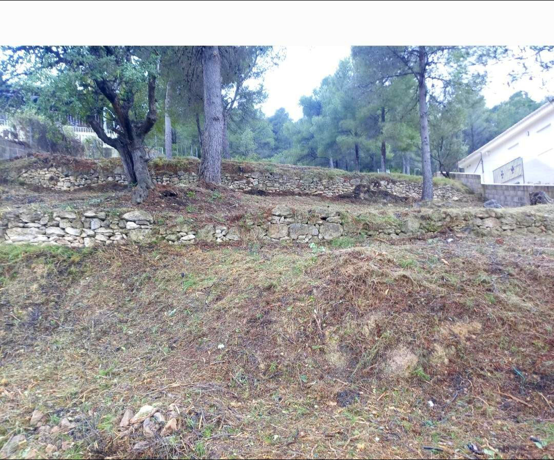 Fincas y solares-Venta-Algar de Palancia-1763870-Foto-5