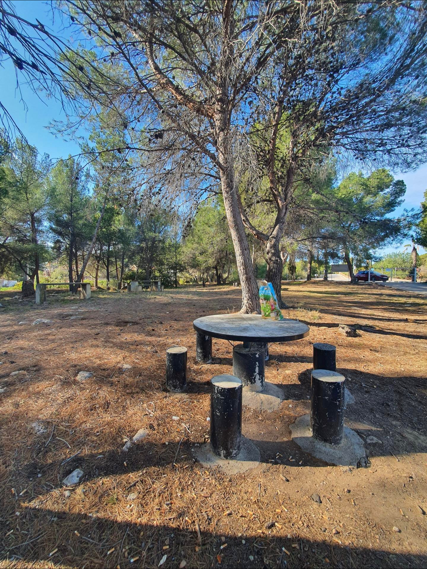 Fincas y solares-Venta-Algar de Palancia-1763870-Foto-8