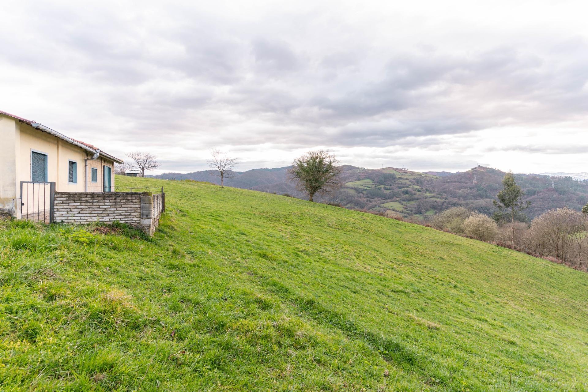 Fincas y solares-Venta-Oviedo-1791261