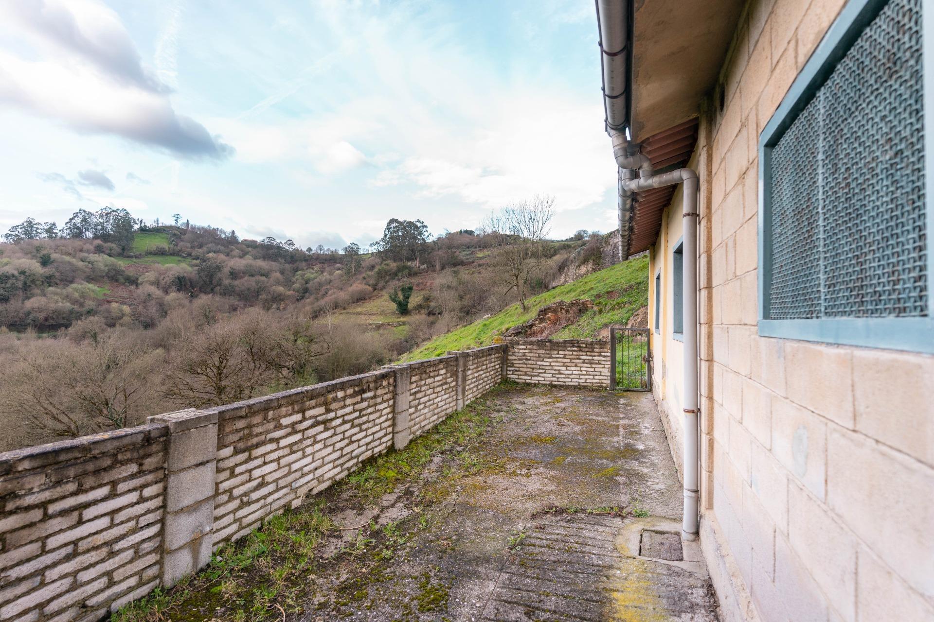 Fincas y solares-Venta-Oviedo-1791261-Foto-6