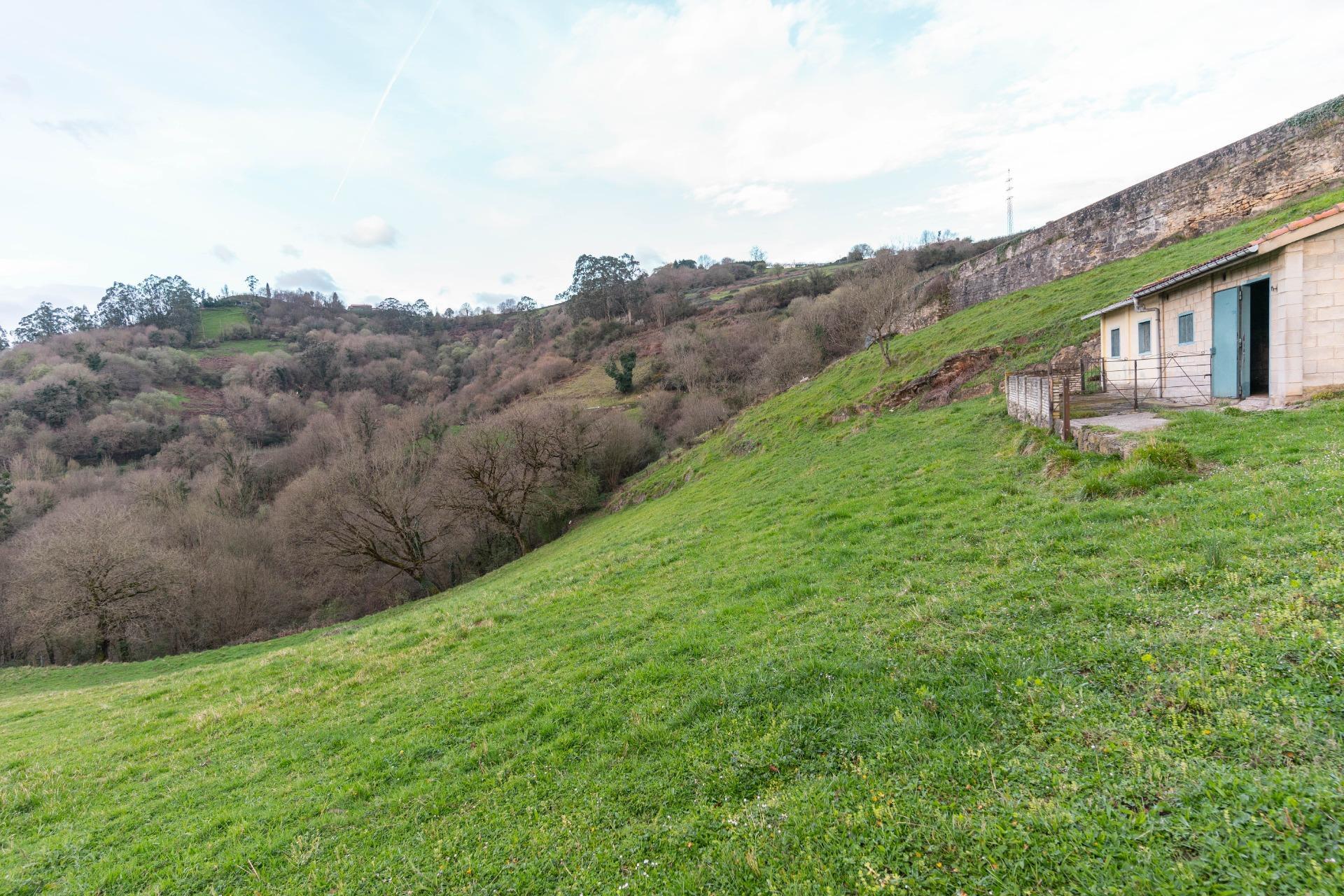 Fincas y solares-Venta-Oviedo-1791261-Foto-11