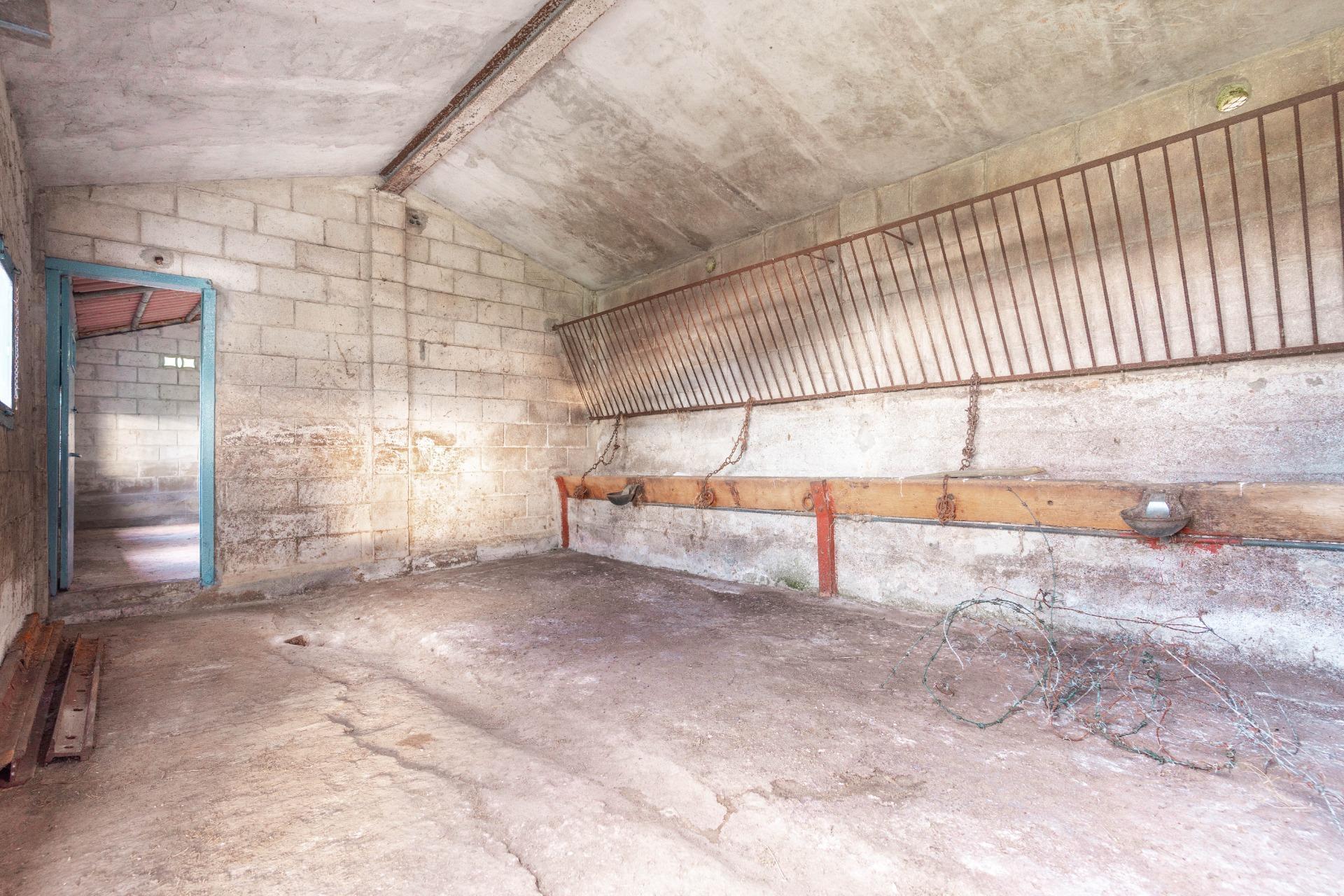 Fincas y solares-Venta-Oviedo-1791261-Foto-9