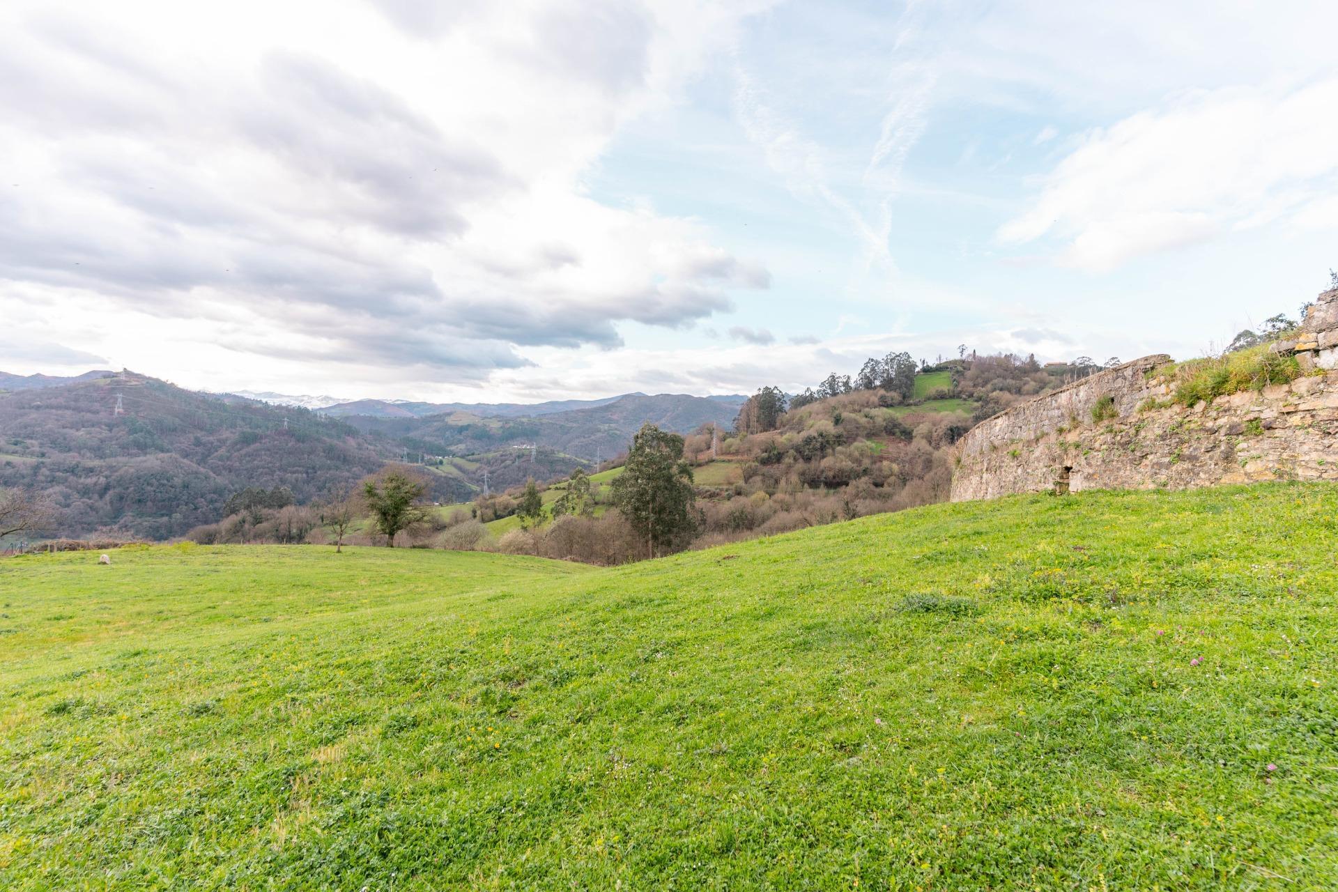Fincas y solares-Venta-Oviedo-1791261-Foto-13