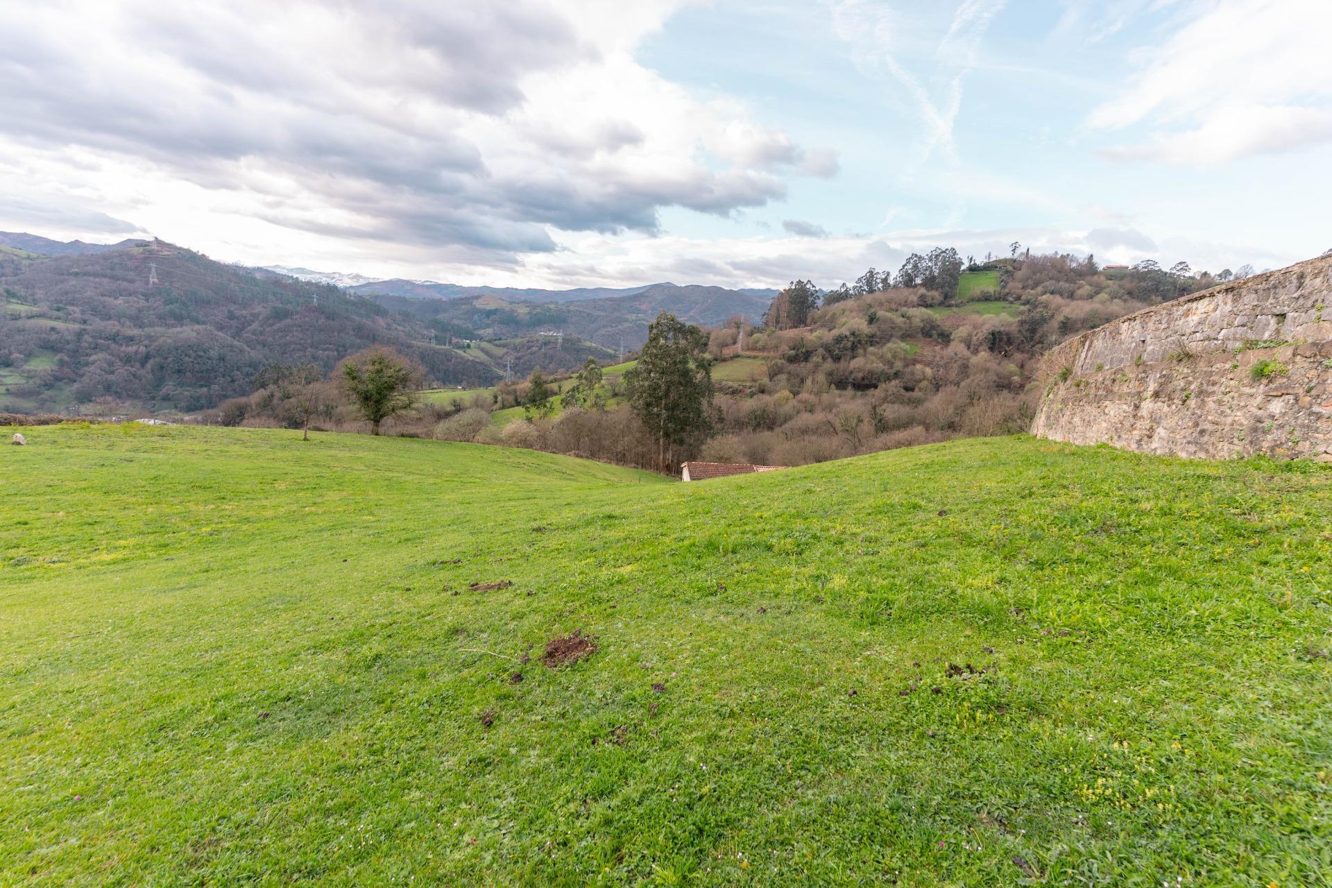 Fincas y solares-Venta-Oviedo-1791261-Foto-14