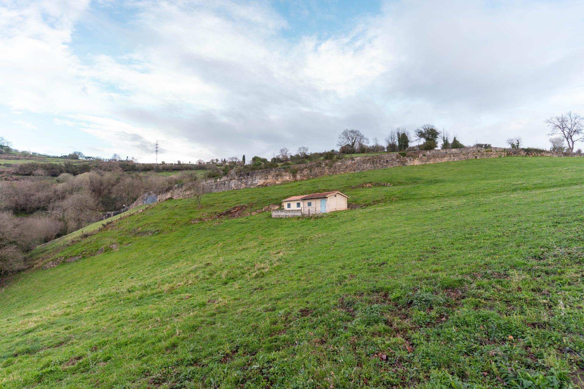 Fincas y solares-Venta-Oviedo-1791261-Foto-24