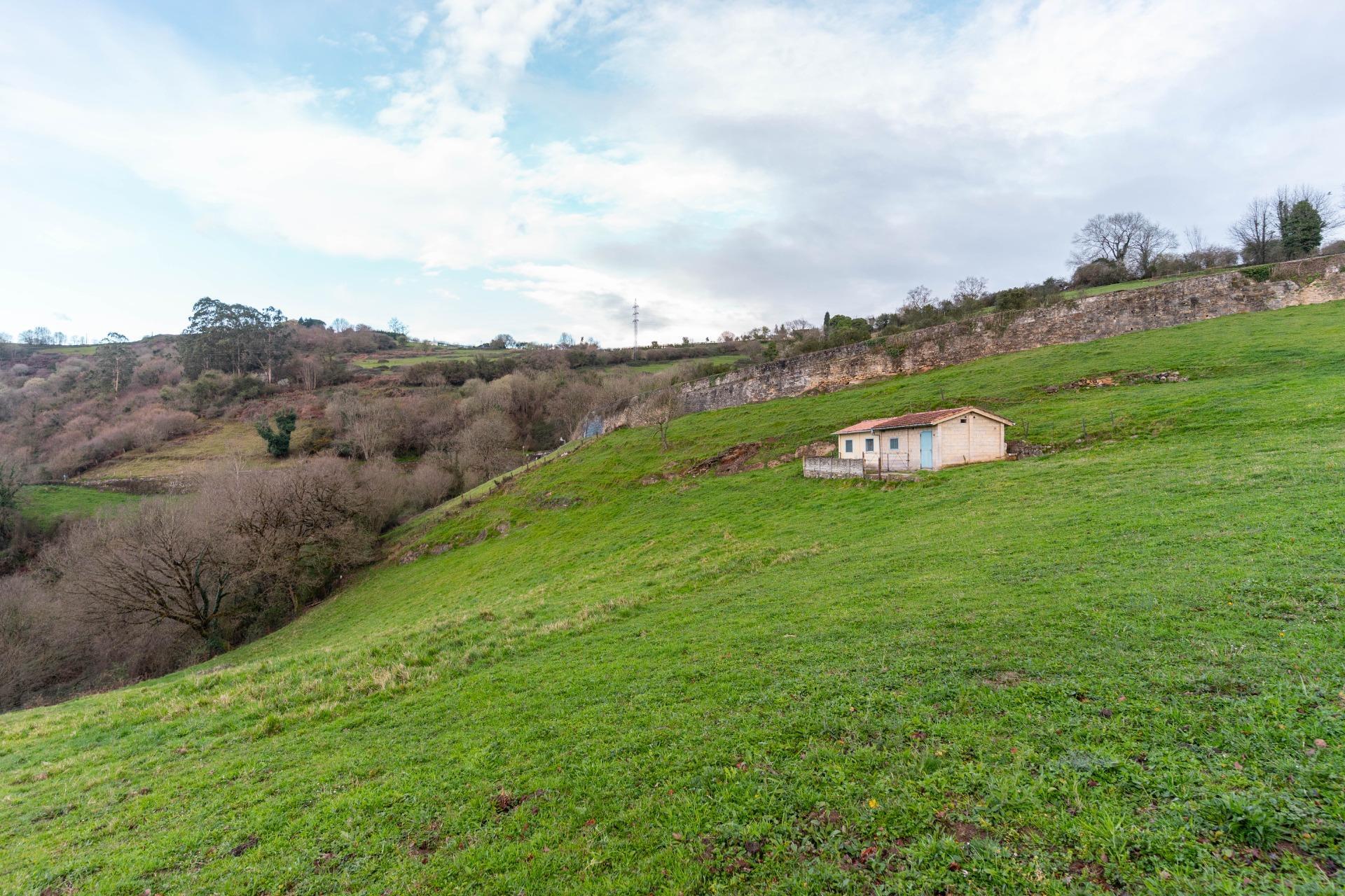 Fincas y solares-Venta-Oviedo-1791261-Foto-26
