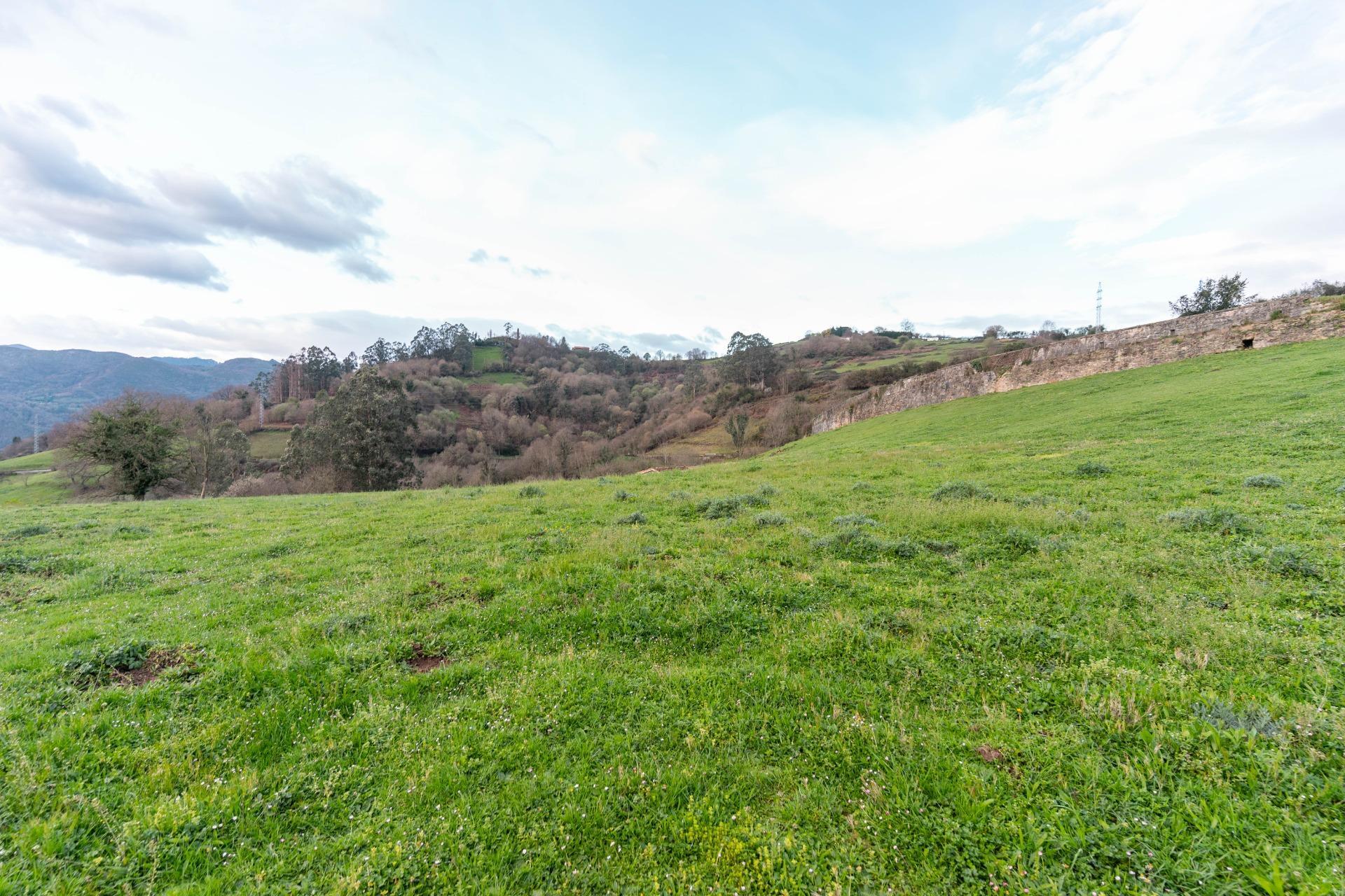 Fincas y solares-Venta-Oviedo-1791261-Foto-30