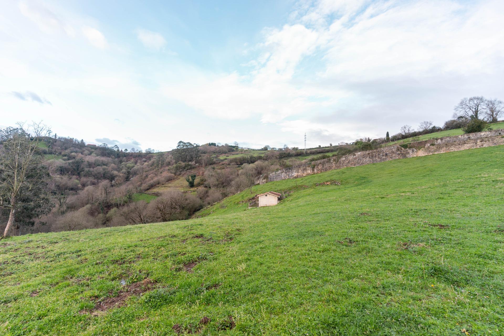 Fincas y solares-Venta-Oviedo-1791261-Foto-32
