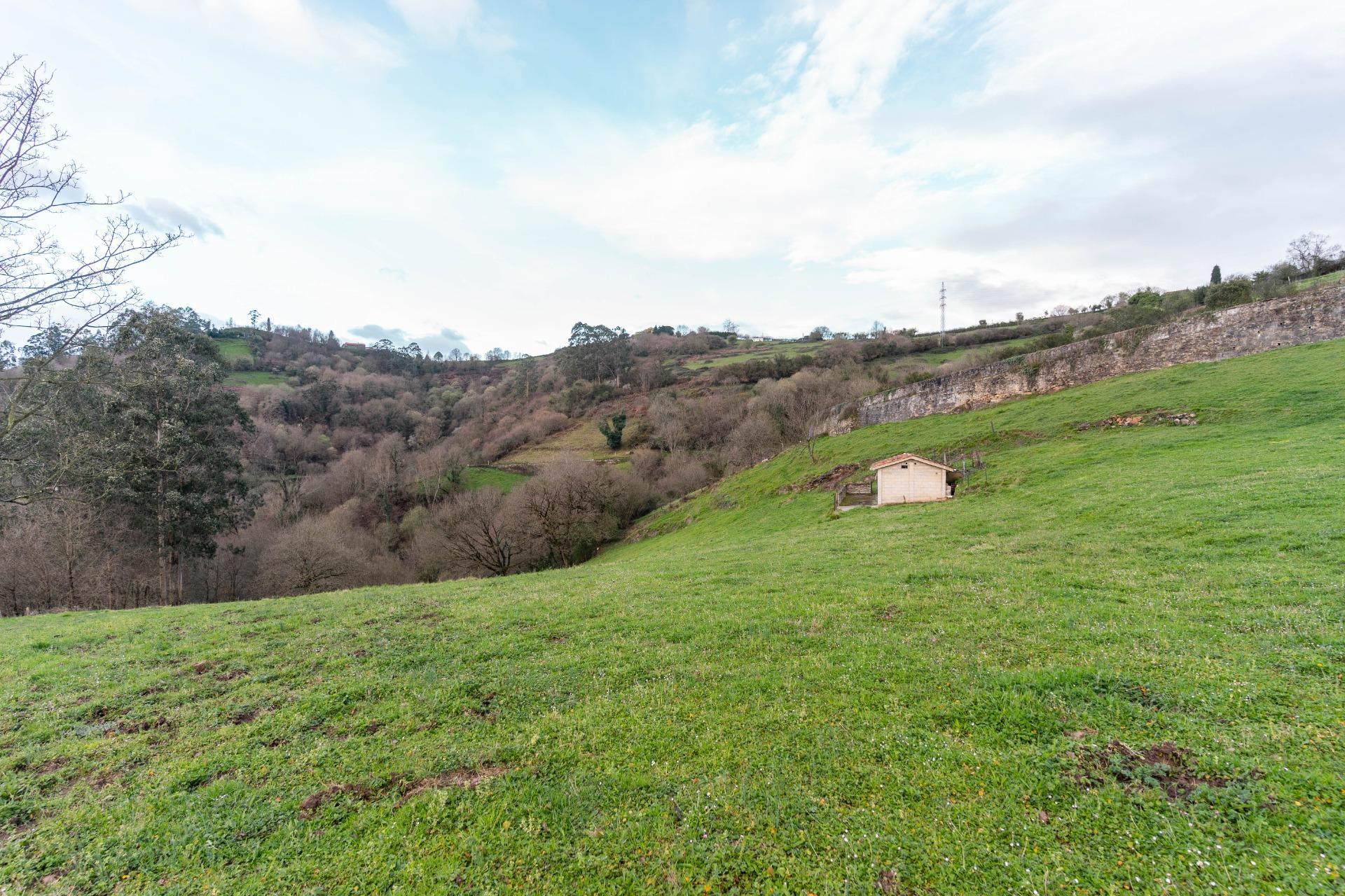 Fincas y solares-Venta-Oviedo-1791261-Foto-29