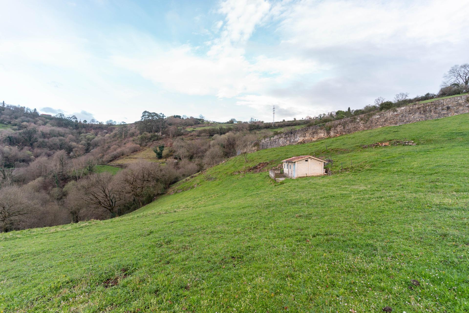 Fincas y solares-Venta-Oviedo-1791261-Foto-28