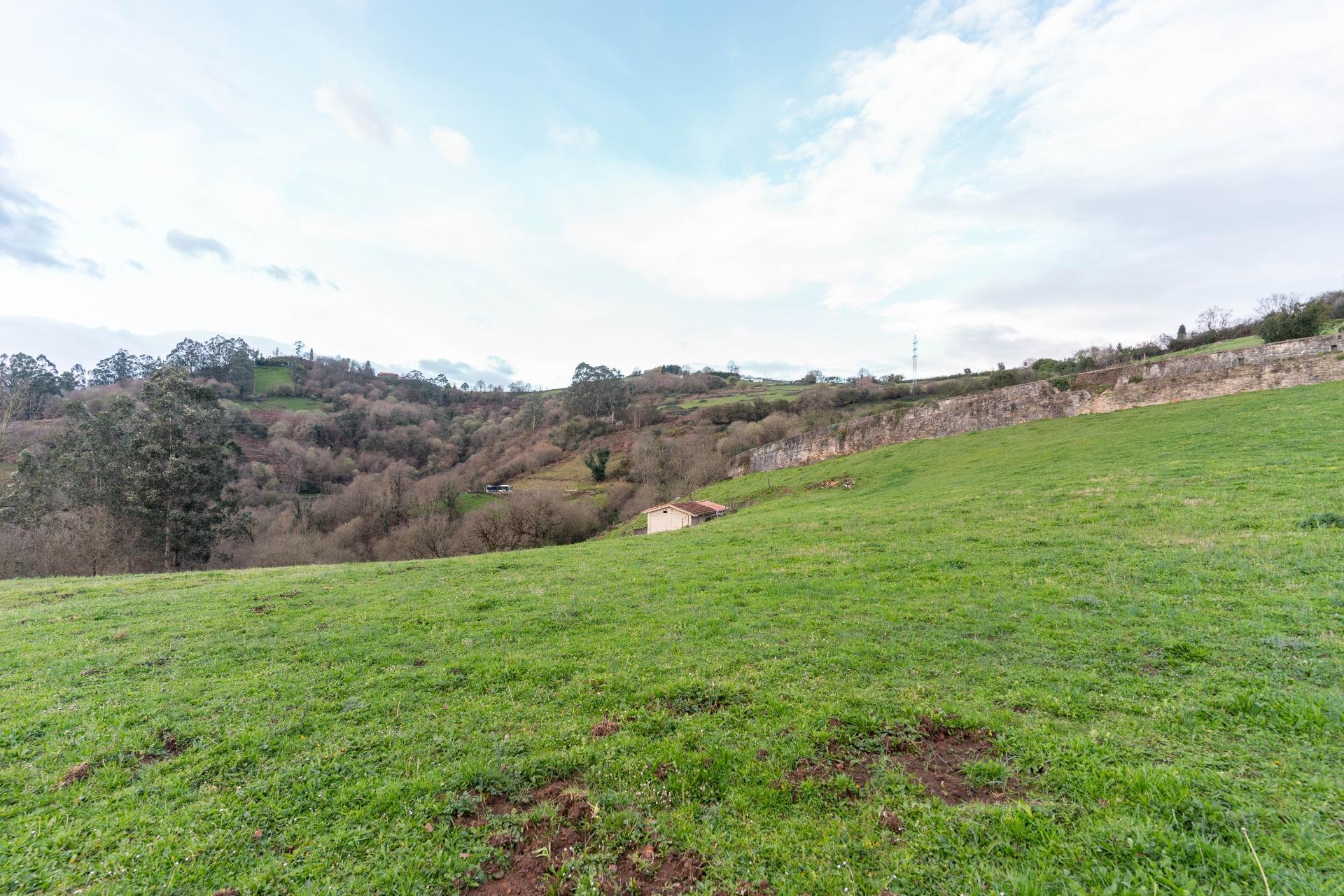 Fincas y solares-Venta-Oviedo-1791261-Foto-33