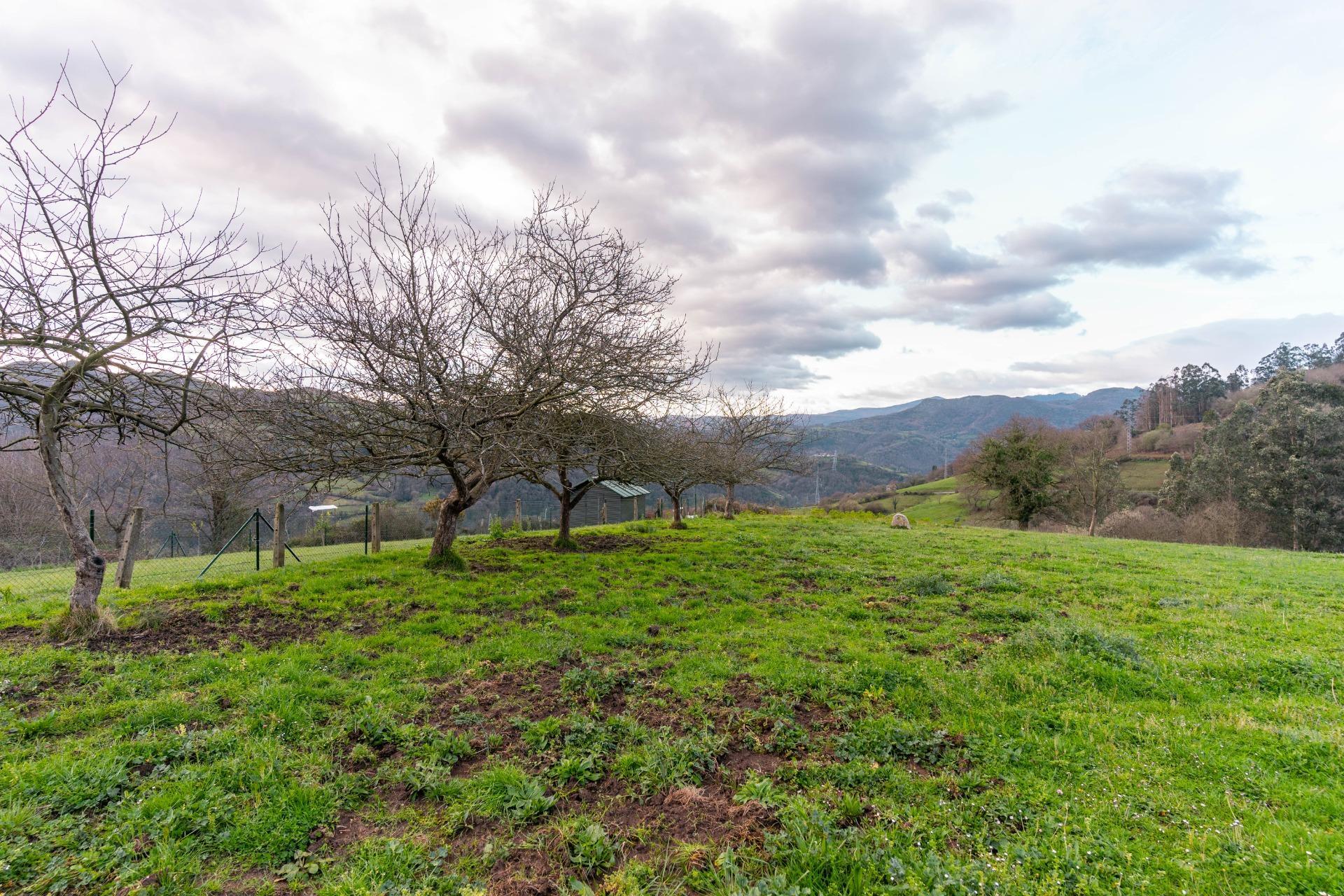 Fincas y solares-Venta-Oviedo-1791261-Foto-35