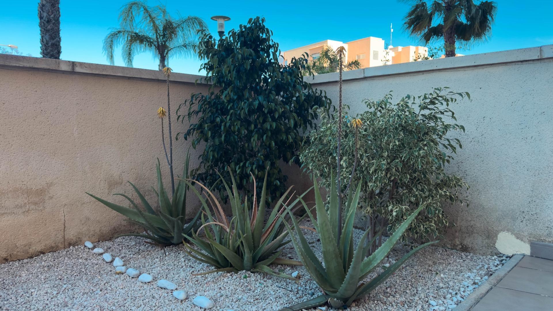 Pisos-Venta-Murcia-1734232-Foto-12