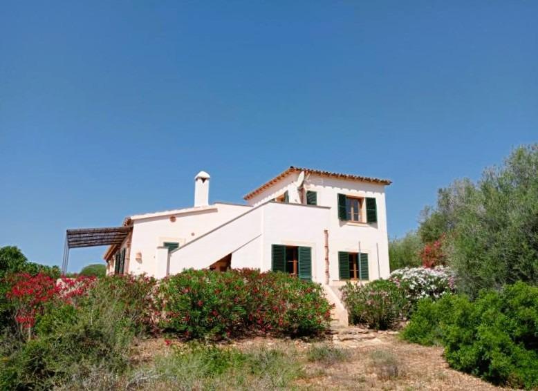 Casas o chalets-Venta-SantanyÃ­-1764375-Foto-22