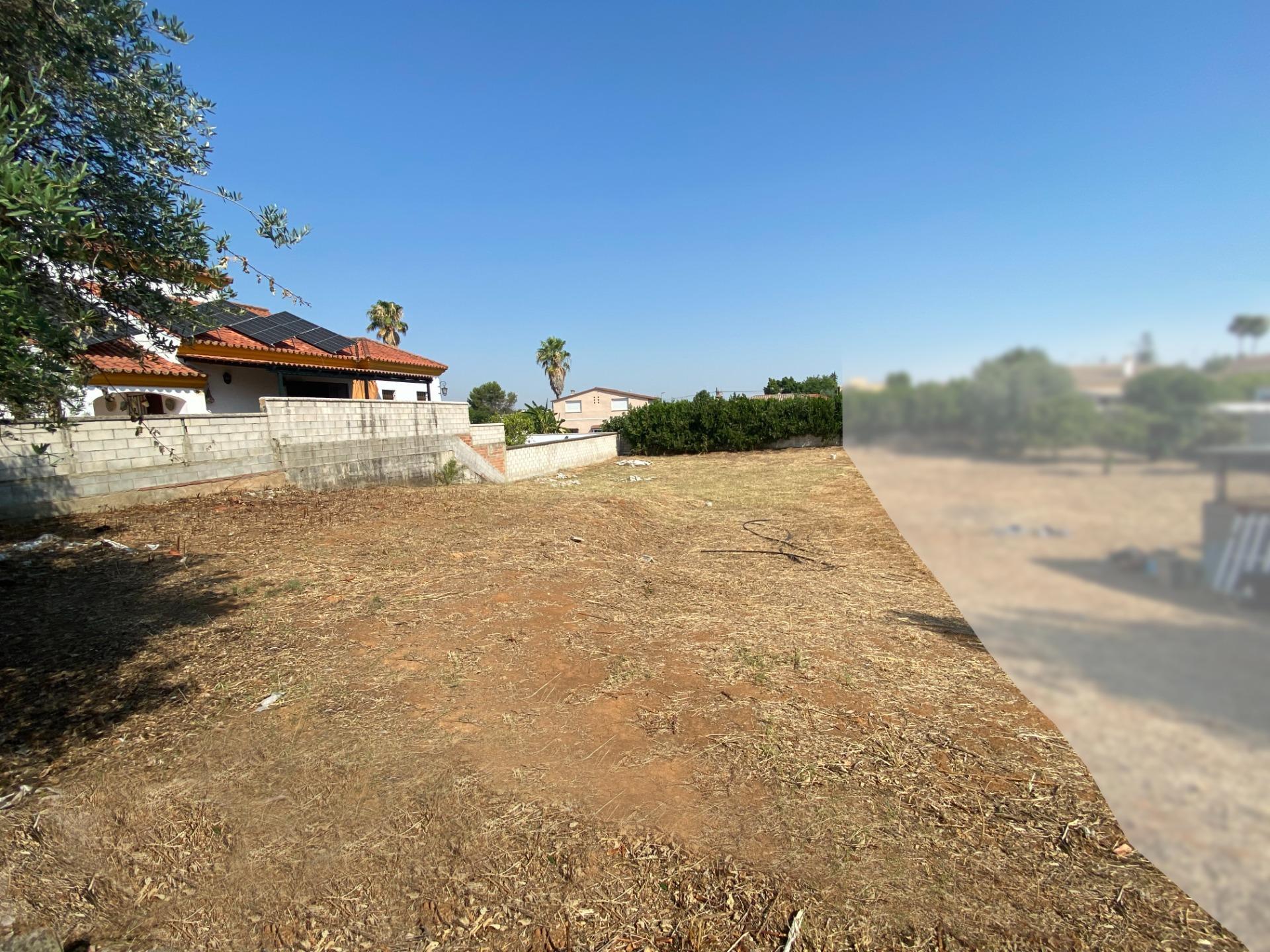 Fincas y solares-Venta-Palomares del RÃ­o-1430351-Foto-2