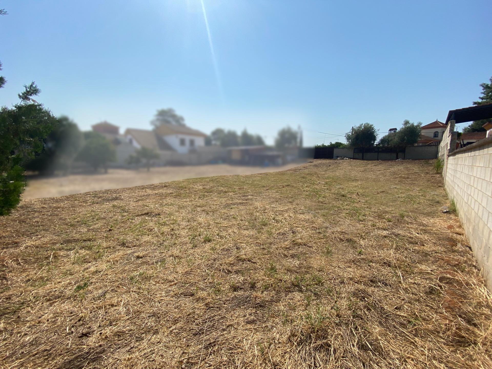 Fincas y solares-Venta-Palomares del Río-1430351