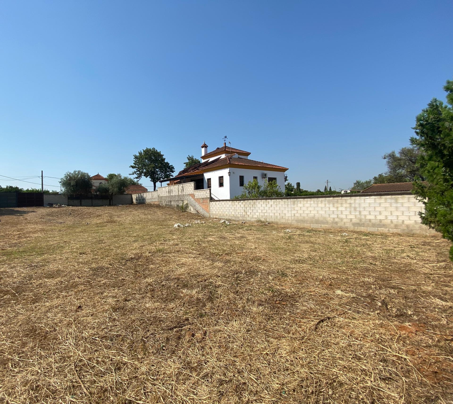 Fincas y solares-Venta-Palomares del RÃ­o-1430351-Foto-4