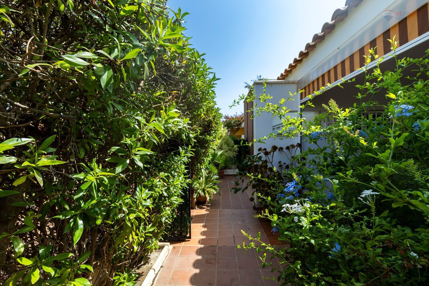 Casas o chalets-Venta-HuÃ©rcal-Overa-1707690-Foto-35
