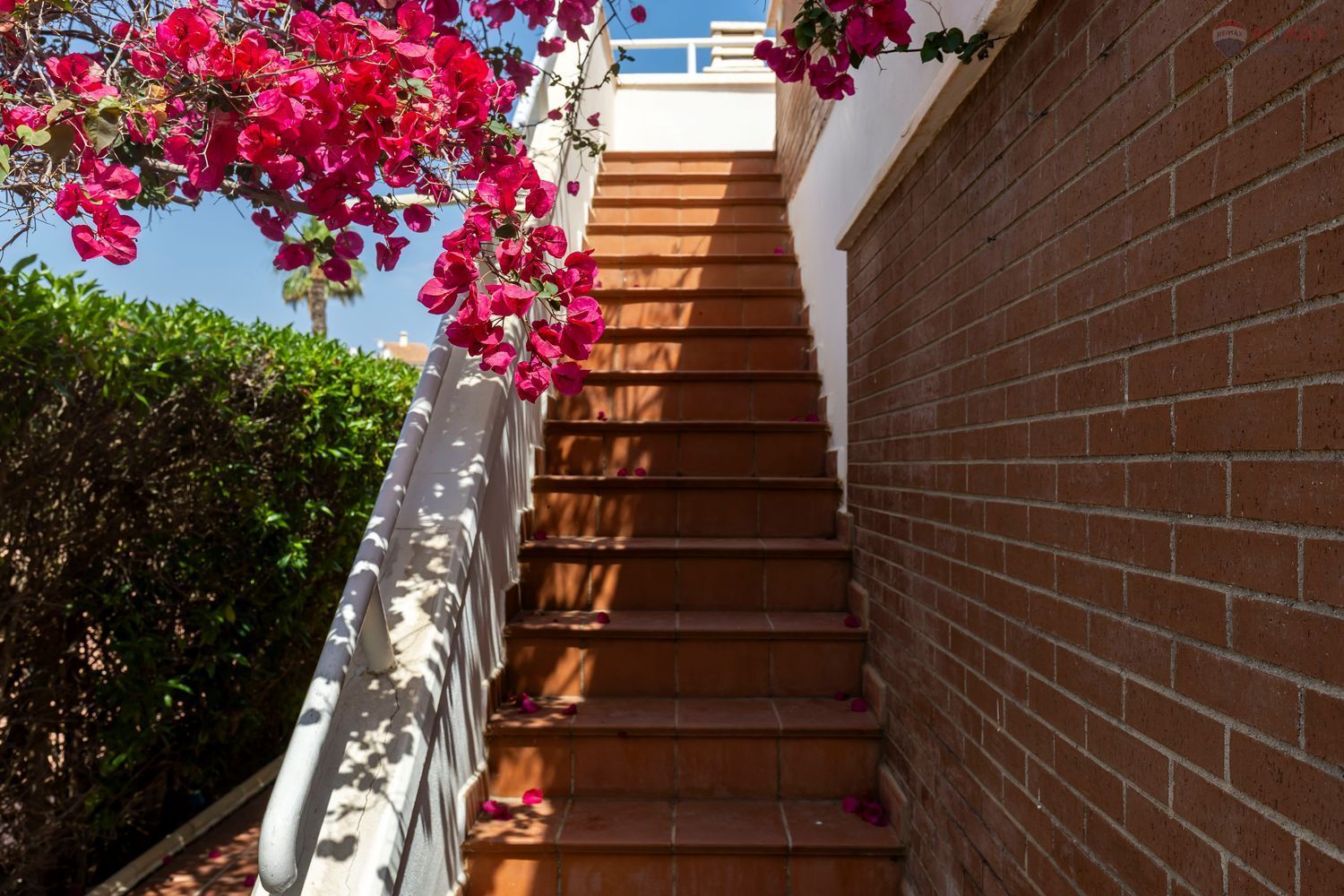 Casas o chalets-Venta-HuÃ©rcal-Overa-1707690-Foto-45
