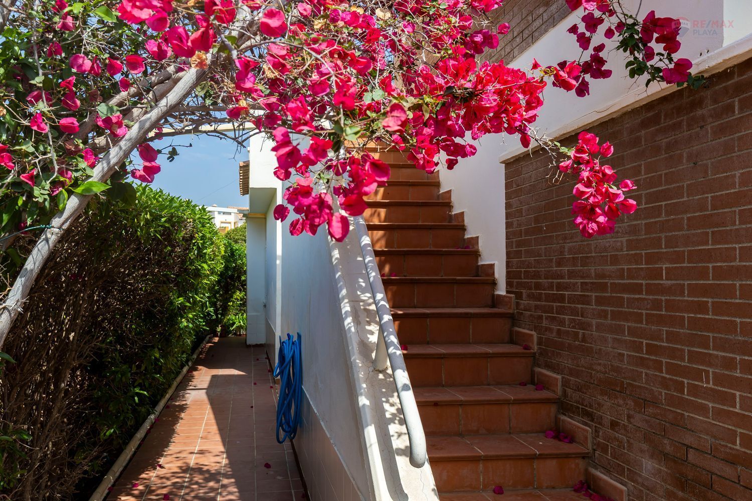 Casas o chalets-Venta-HuÃ©rcal-Overa-1707690-Foto-44