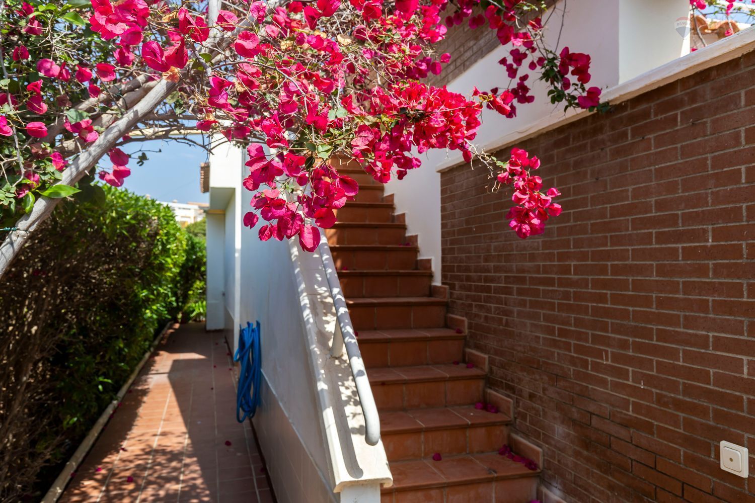 Casas o chalets-Venta-HuÃ©rcal-Overa-1707690-Foto-43