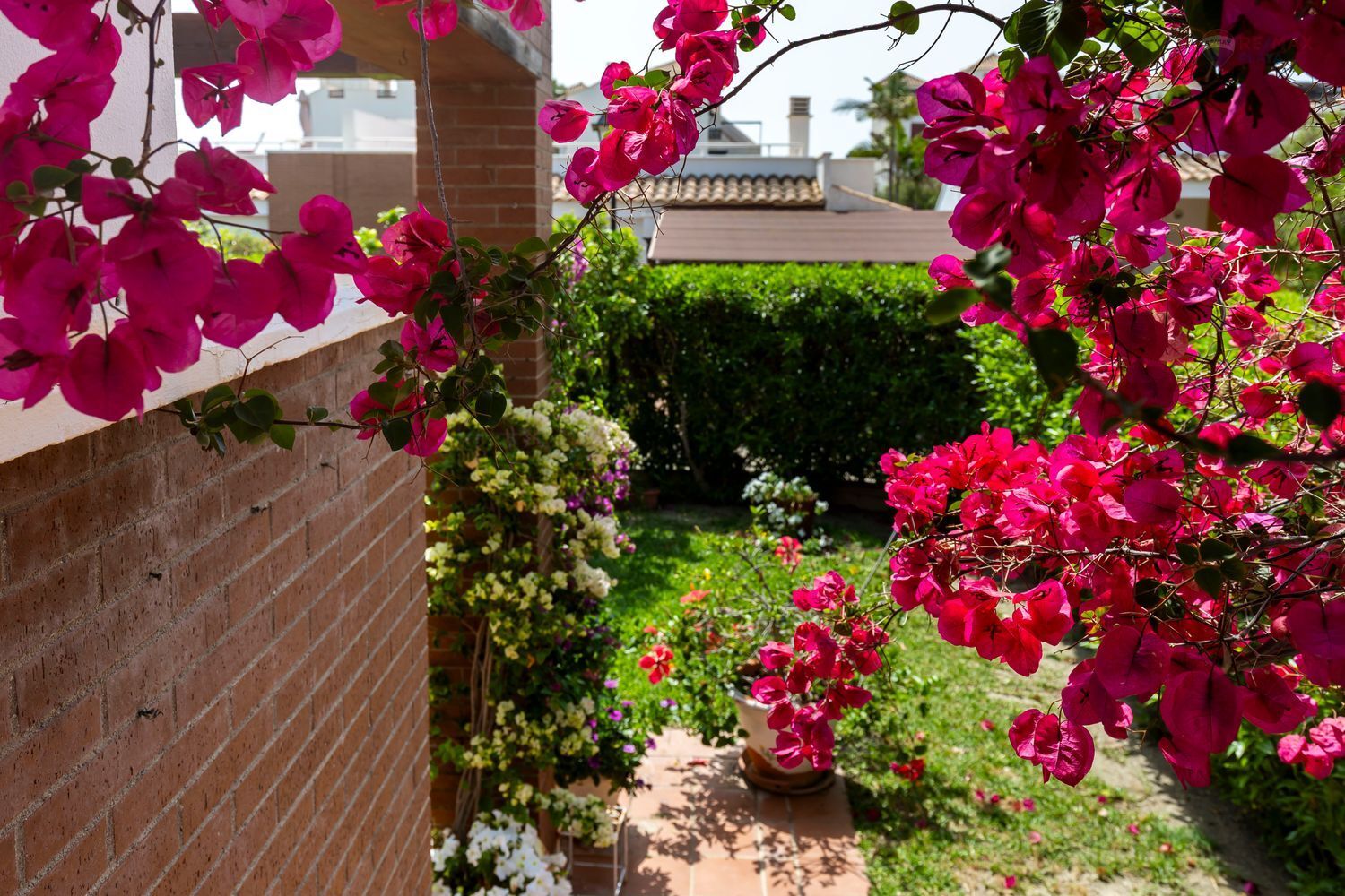 Casas o chalets-Venta-HuÃ©rcal-Overa-1707690-Foto-47