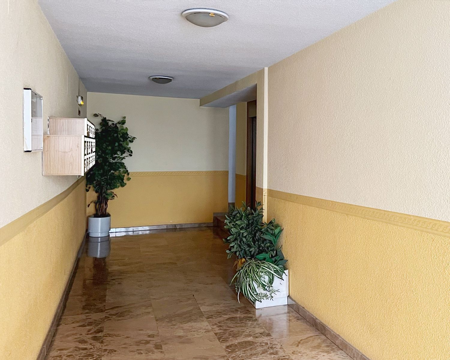 Pisos-Venta-Guadalajara-1743385-Foto-27