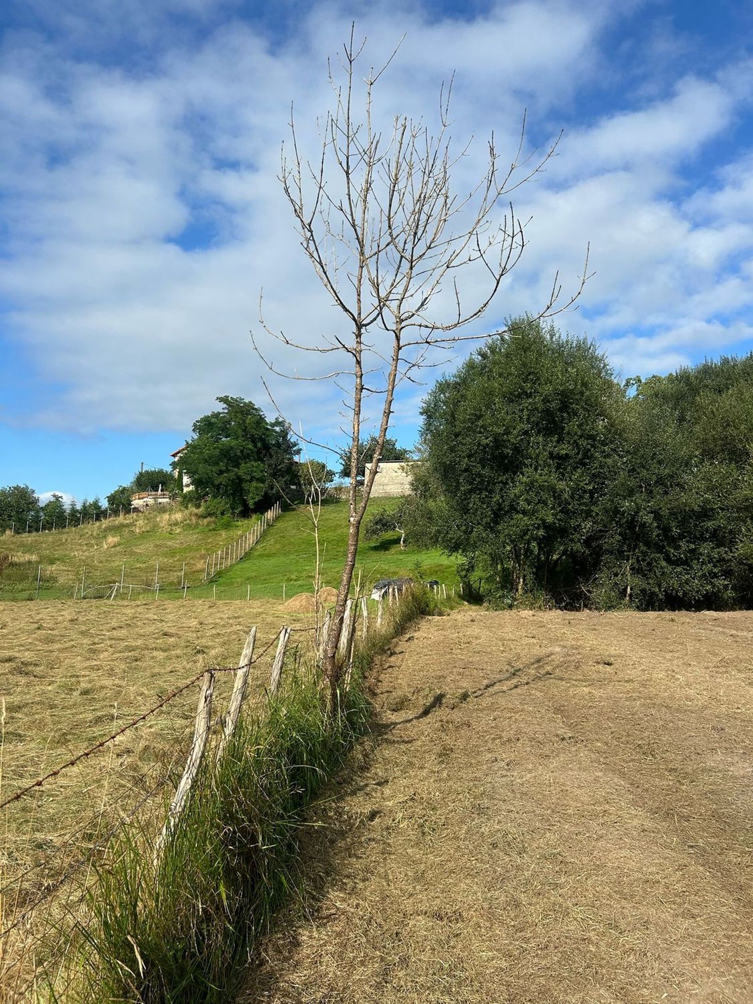 Fincas y solares-Venta-PiloÃ±a-1681023-Foto-2