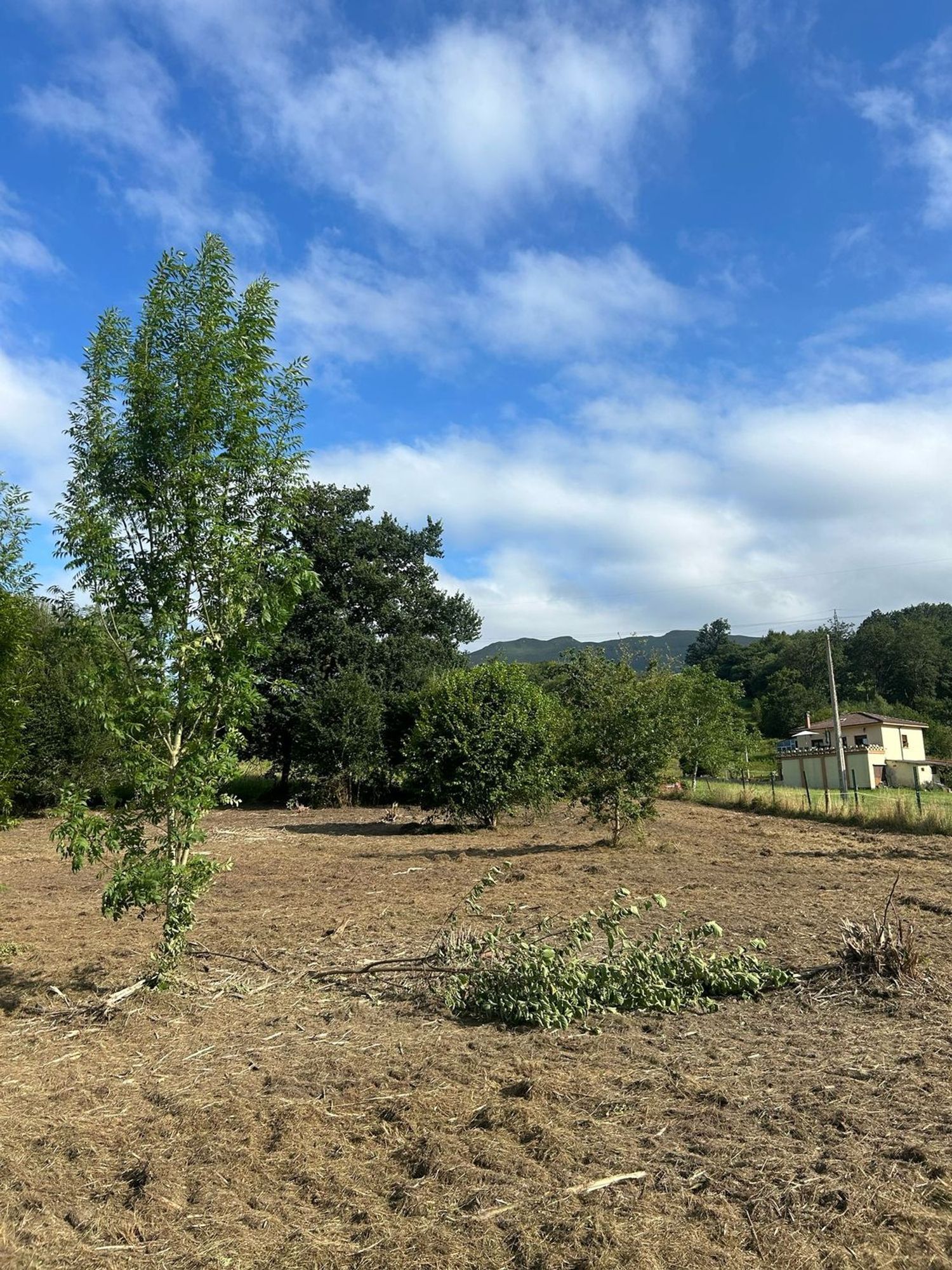 Fincas y solares-Venta-PiloÃ±a-1681023-Foto-8