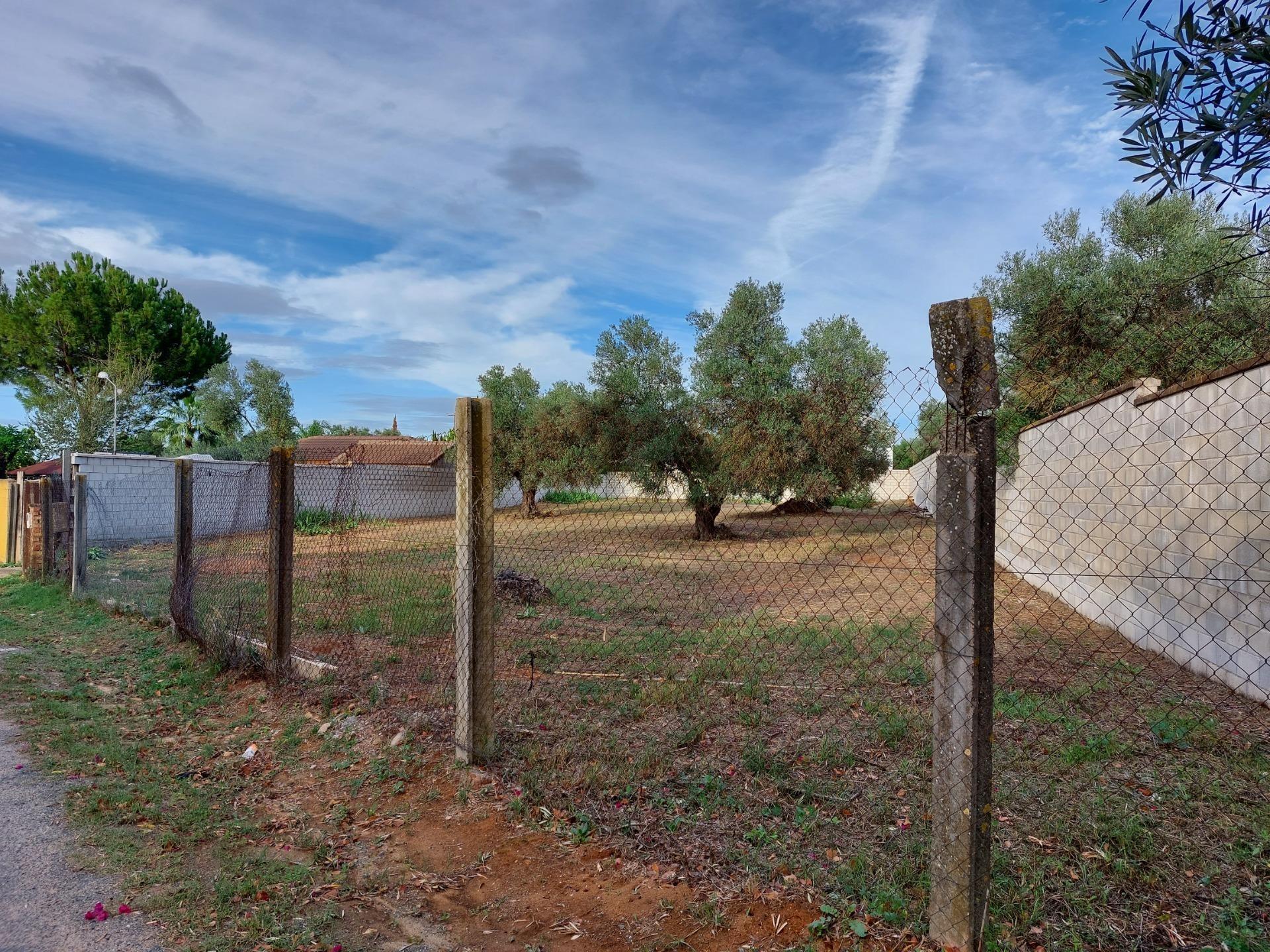 Fincas y solares-Venta-Dos Hermanas-1793318-Foto-4