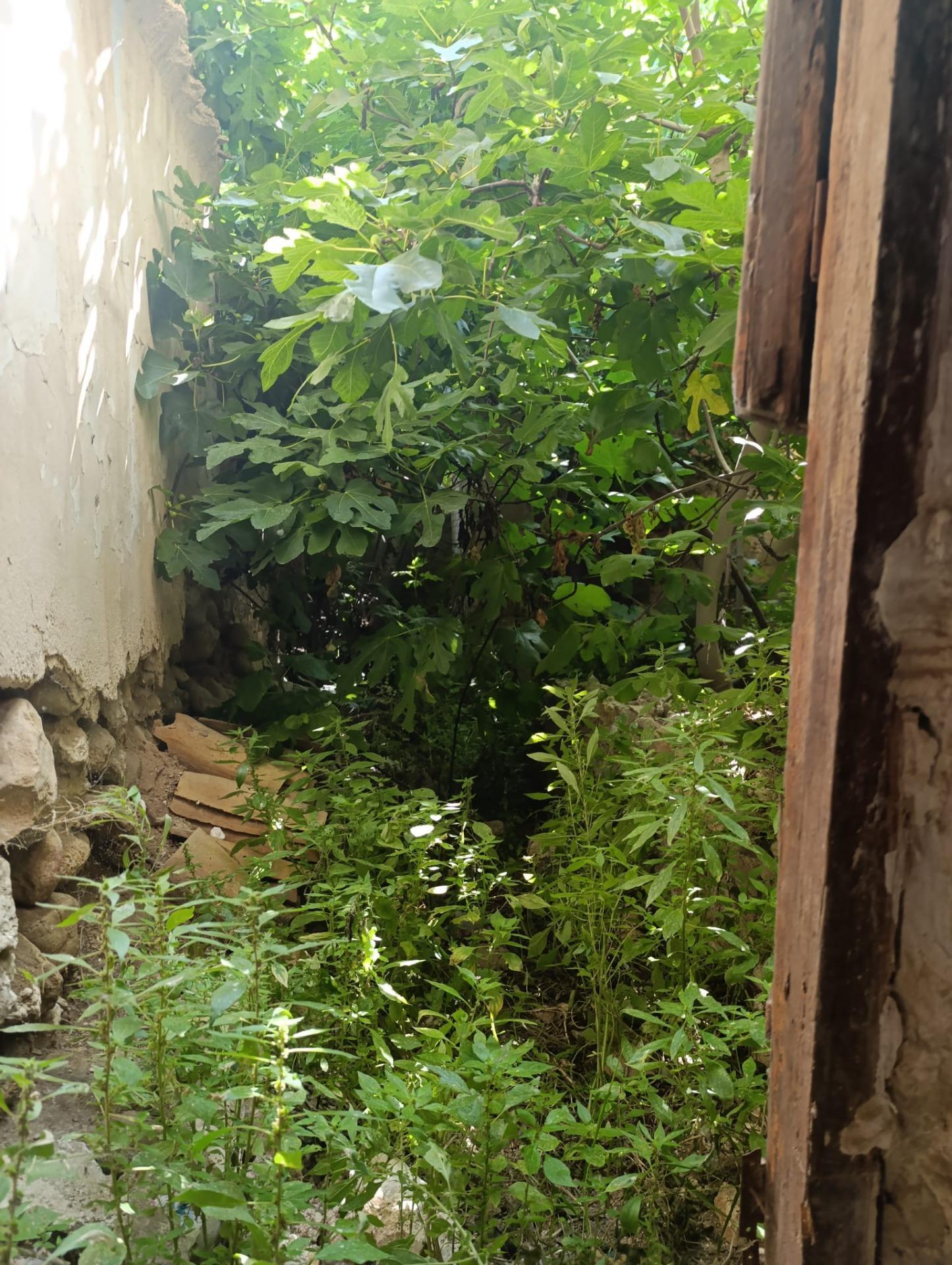 Casas o chalets-Venta-Albudeite-1765233