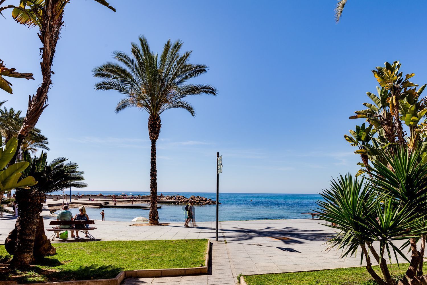 Casas o chalets-Venta-Torrevieja-1683606-Foto-84