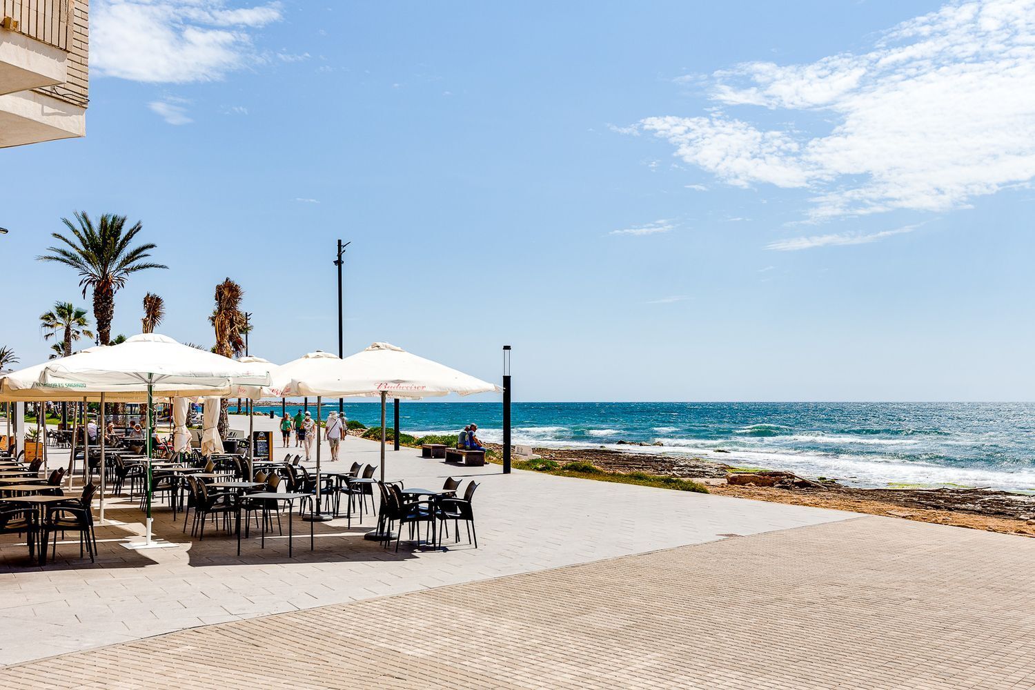 Casas o chalets-Venta-Torrevieja-1683606-Foto-88