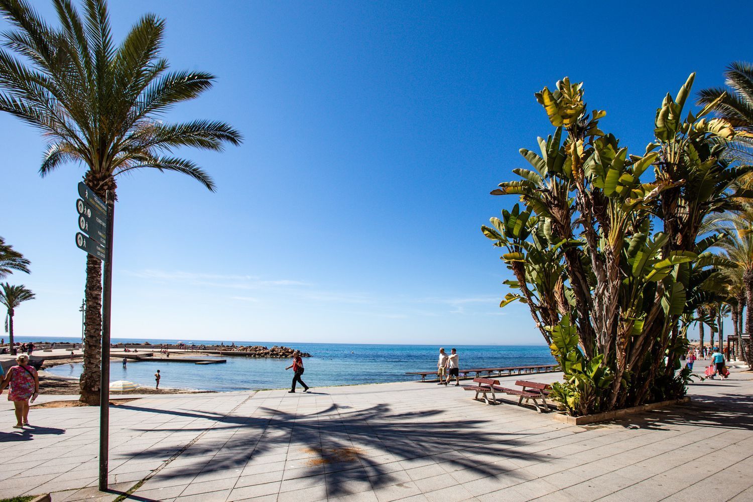 Pisos-Venta-Torrevieja-1091656-Foto-41