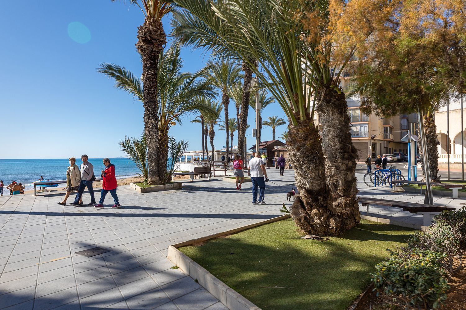 Pisos-Venta-Torrevieja-1091656-Foto-50