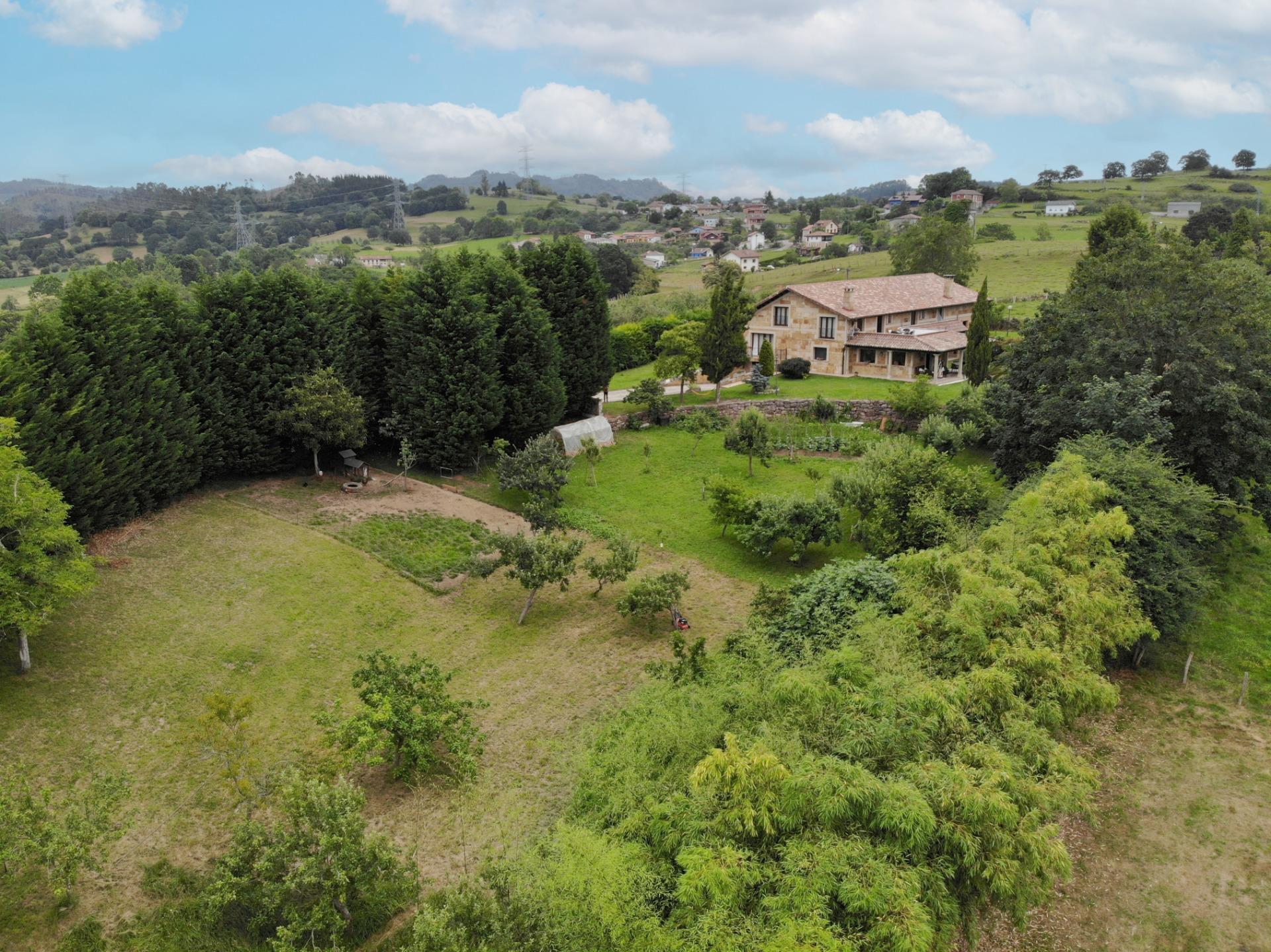 Casas o chalets-Venta-Las Navas del MarquÃ©s-910507-Foto-91