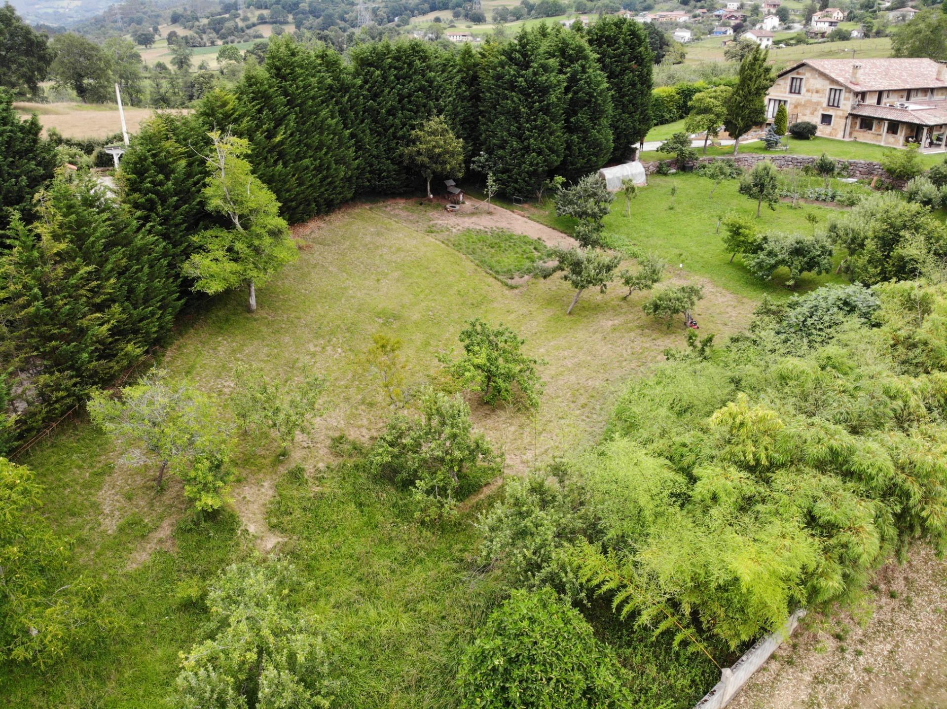 Casas o chalets-Venta-Las Navas del MarquÃ©s-910507-Foto-93