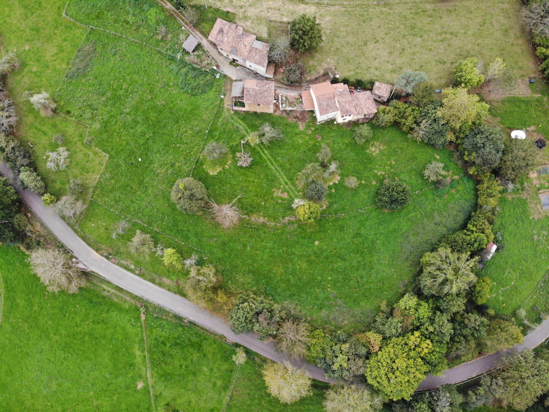 Fincas y solares-Venta-PiloÃ±a-1439489-Foto-2