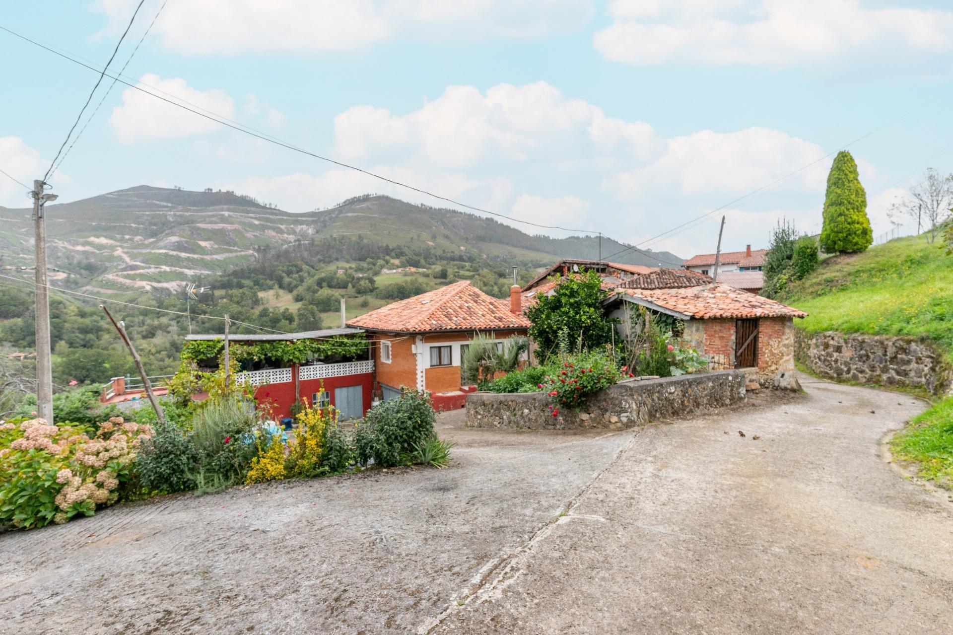 Fincas y solares-Venta-PiloÃ±a-1439489-Foto-6