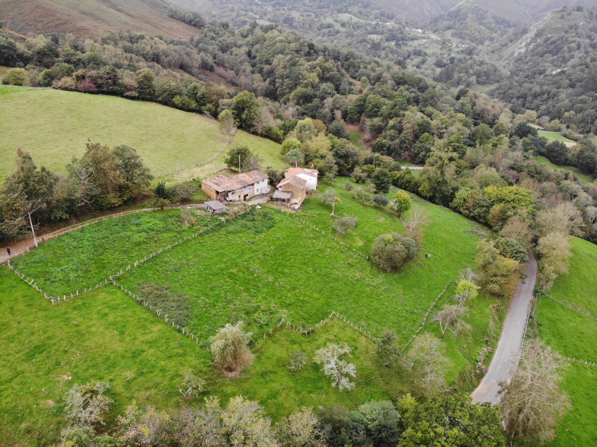 Fincas y solares-Venta-PiloÃ±a-1439489-Foto-37
