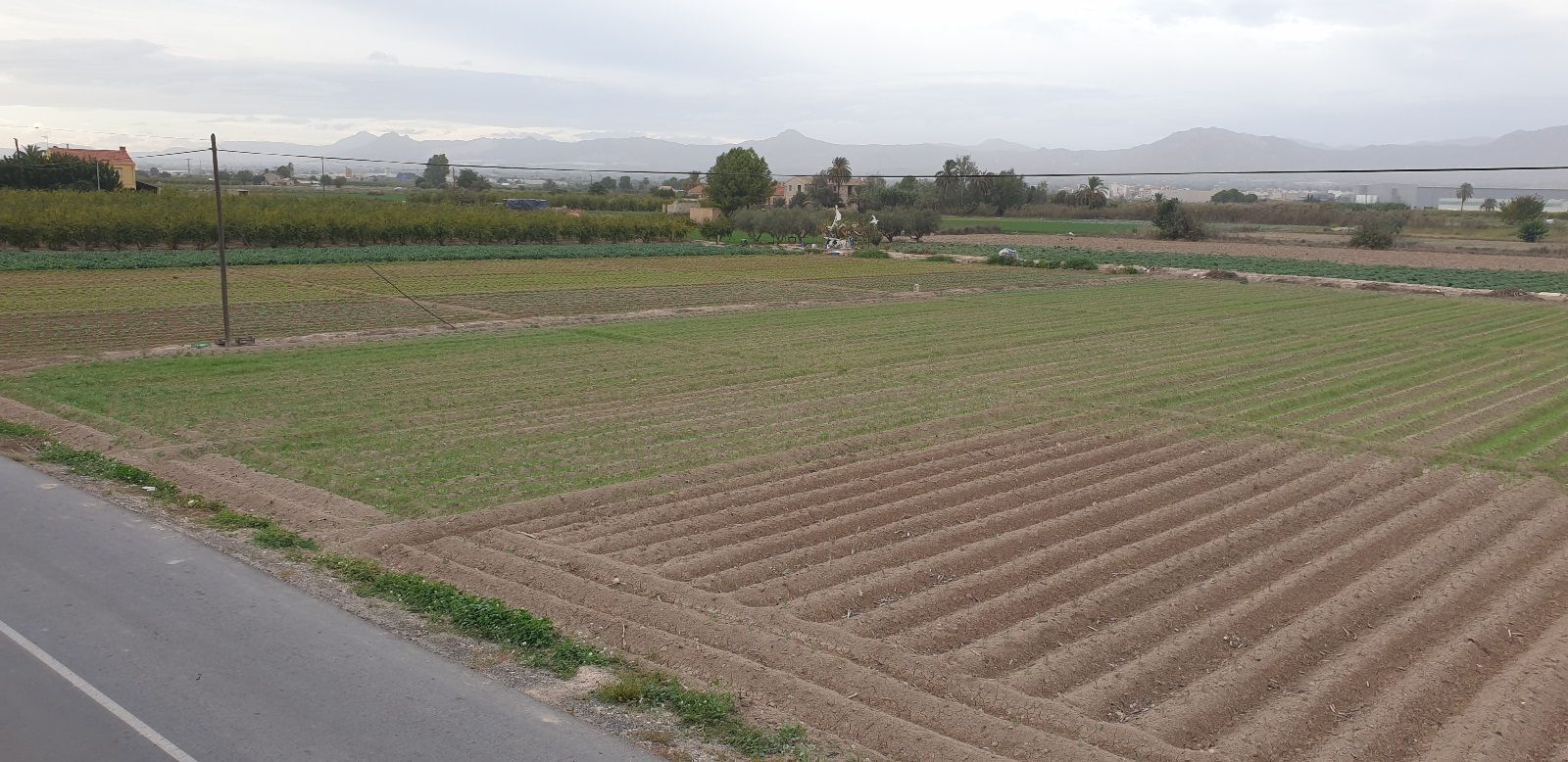 Casas o chalets-Venta-Granja de Rocamora-1039941-Foto-22