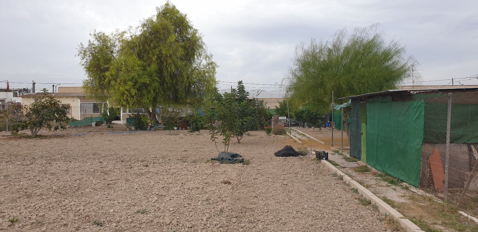 Casas o chalets-Venta-Granja de Rocamora-1039941-Foto-23