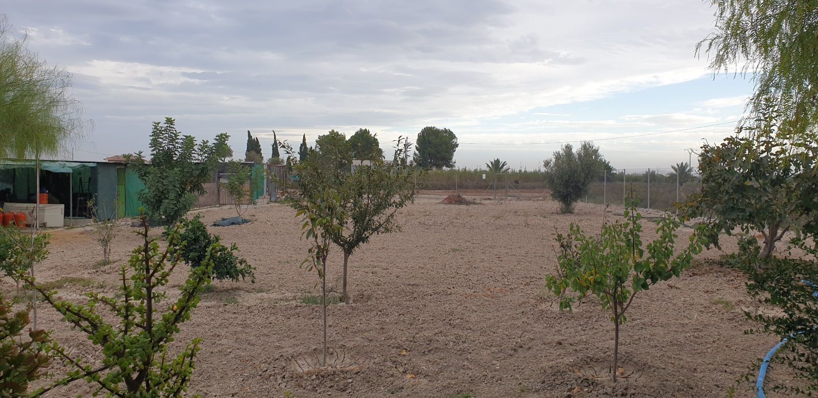 Casas o chalets-Venta-Granja de Rocamora-1039941-Foto-21
