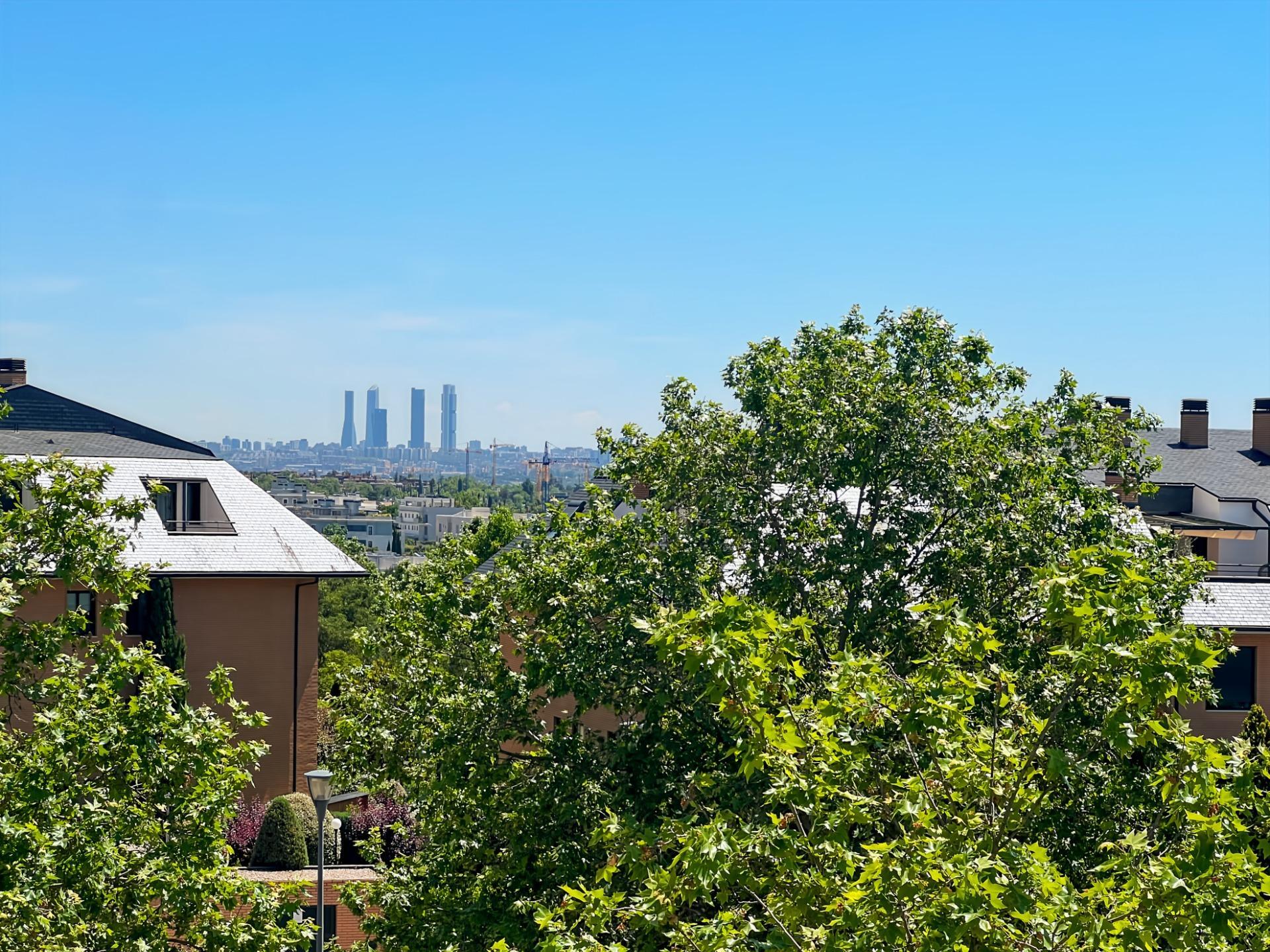 Pisos-Venta-Pozuelo de AlarcÃ³n-1734751-Foto-39