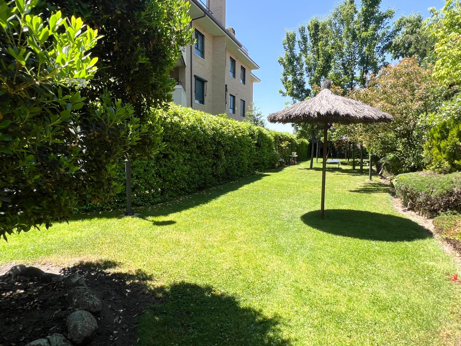 Pisos-Venta-Pozuelo de AlarcÃ³n-1734751-Foto-44
