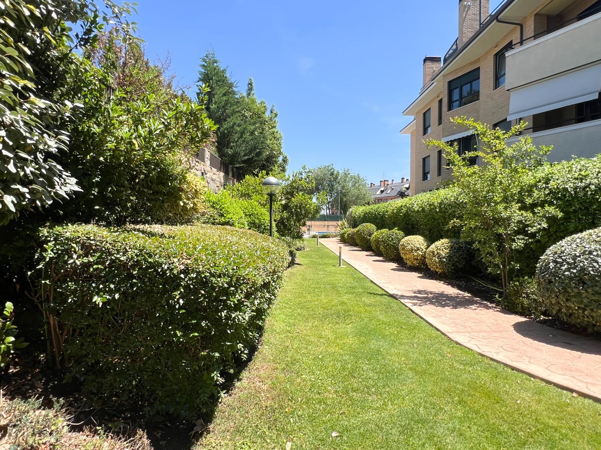 Pisos-Venta-Pozuelo de AlarcÃ³n-1734751-Foto-45
